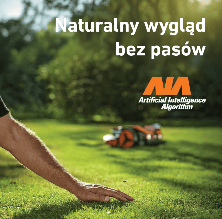 Naturalny wygląd bez pasów